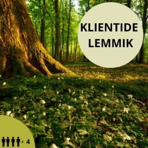 Hooajaline hauaplatsi hooldamine 3 kuni 4 kohta (4 x aastas)